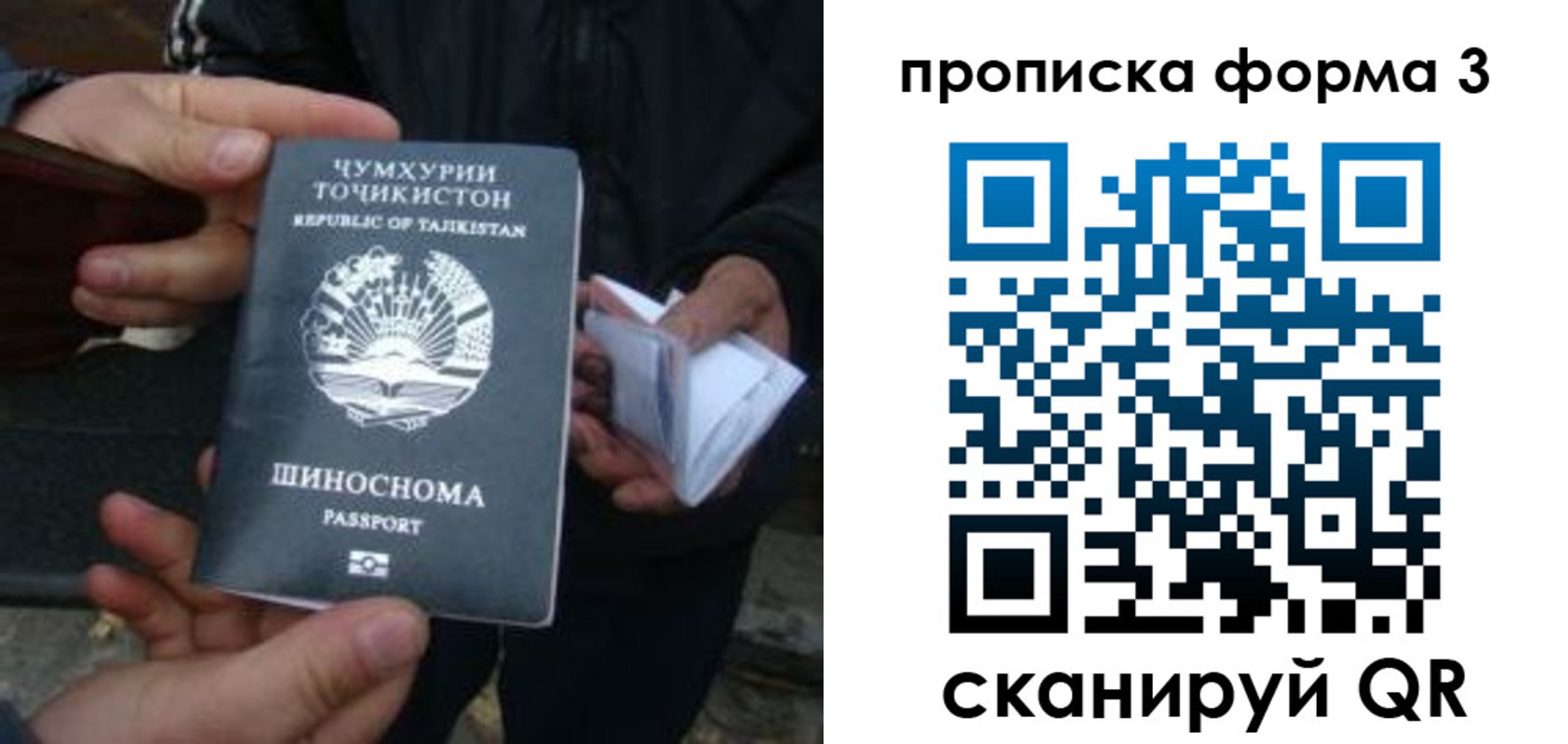 прописка 2025 в Тихорецке